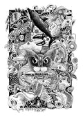 Highland Co. Artwork - Delusional Panther Screen Print (42cm x 59,4 cm)